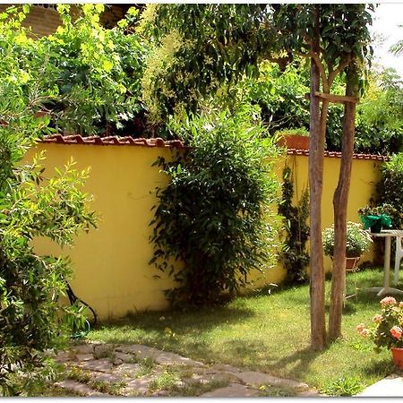 B&B Degli Amici Ciampino Exterior photo